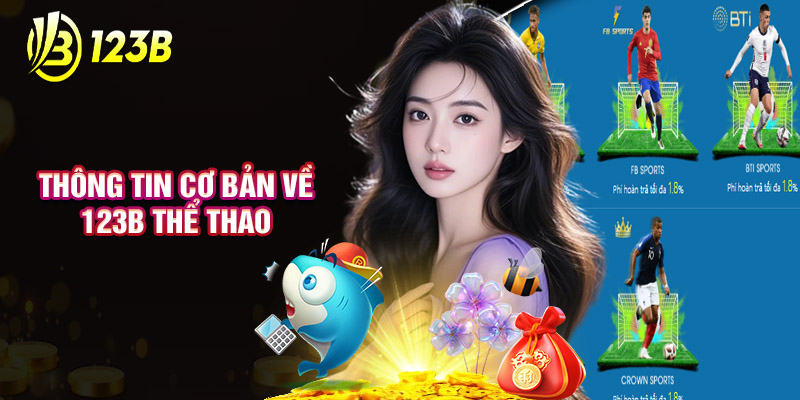Thông Tin Cơ Bản Về 123B Thể Thao